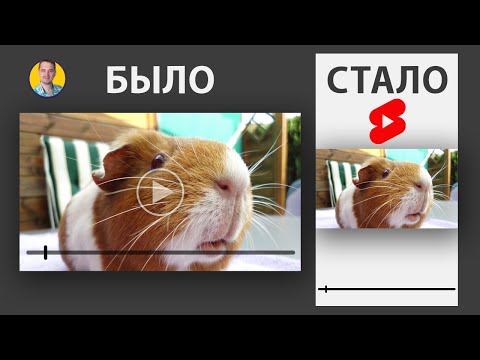 Как сделать из горизонтального 👉 вертикальное видео, чтобы ютуб определял его, как shorts