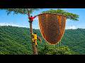 ATTACKED! Wild Honey Hunter Faces a Giant Swarm of Angry Bees