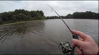 Pêche perches et brochet en étang à la cuiller