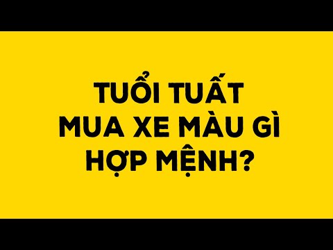 Tuổi 1969 Hợp Xe Màu Gì - Tuổi Tuất mua xe màu gì hợp mệnh? - Duy Anh Web