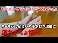 動物動画がテレビで紹介されるまで│キーちゃんの場合