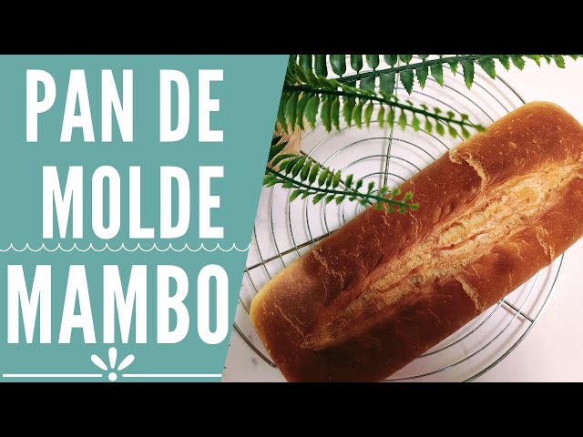 Pan de molde en Mambo  RECETAS MAMBO CECOTEC 