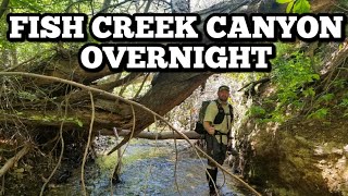 Fish Creek Canyon Overnight | Abandoned Trail Camp