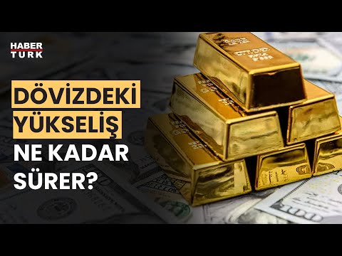 Dolar - euro ve altın neden yükseliyor? Prof. Dr. Oral Erdoğan yanıtladı