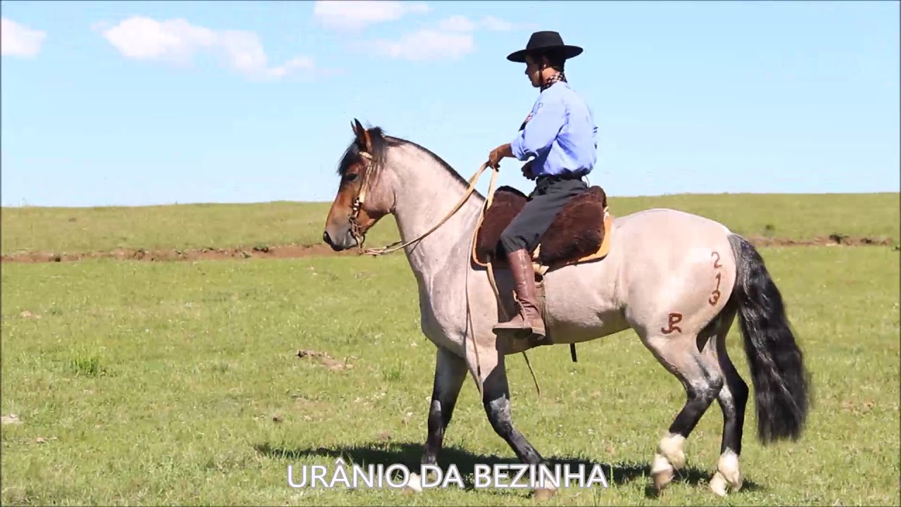 URÂNIO DA BEZINHA