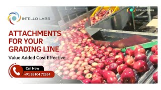 Intello Labs' Value-Added, Cost-Effective Sorting Machine.