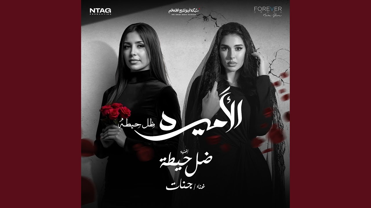 ضل حيطة