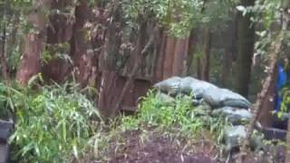 【サバゲ】CIMAX20090830