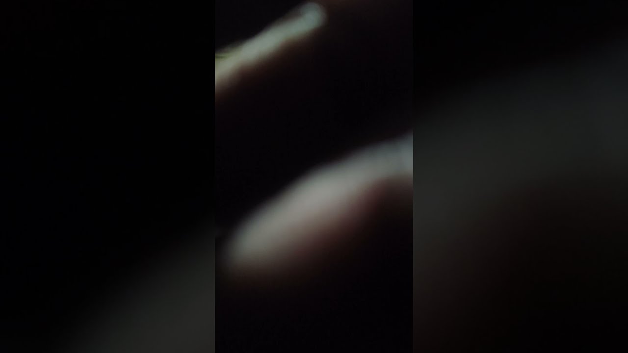 Highlight peaceful VLOGS January 24, 2026 