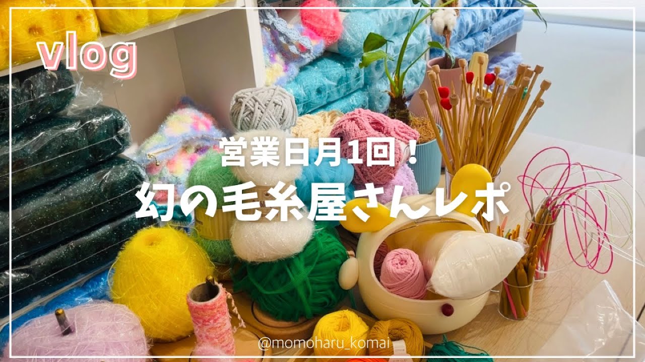 Vlog] Open once a month!? I went to KnitWit, the legendary yarn