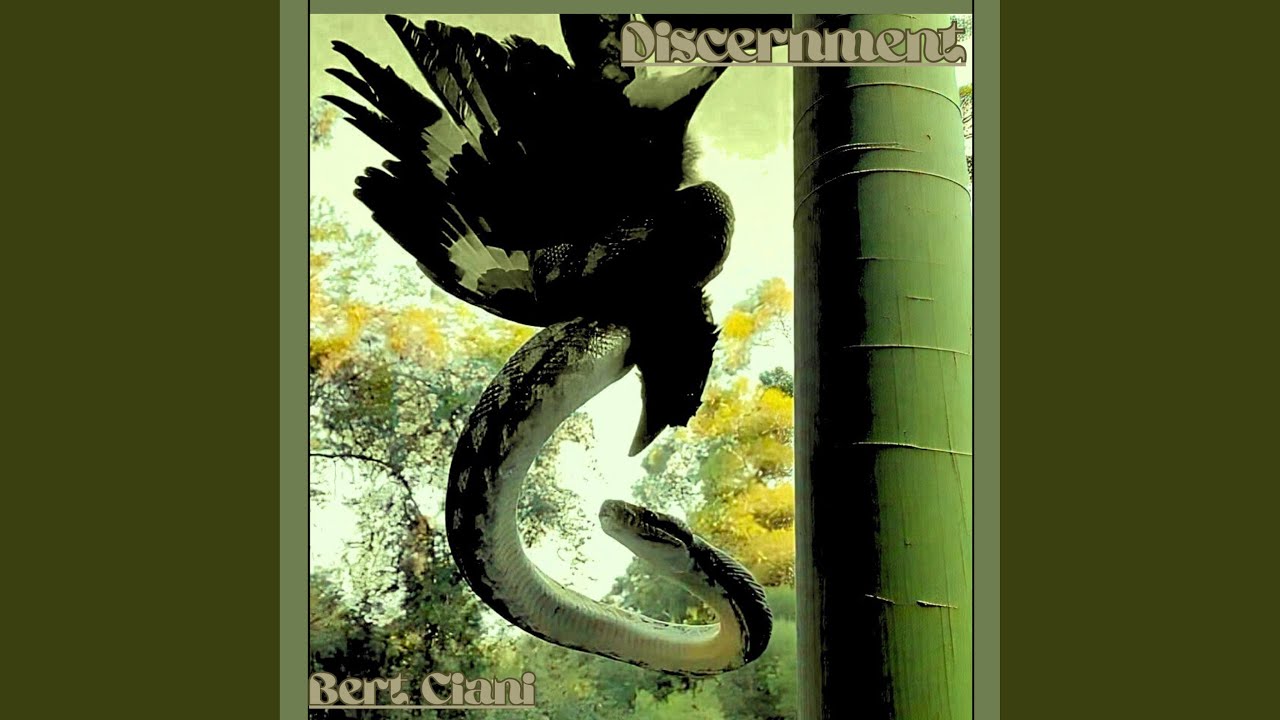 Watch Discernment on YouTube Watch Discernment on YouTube