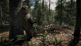 First Look at the upcoming Realistic Bear from Malbers Animations