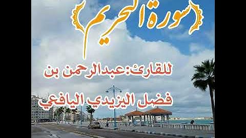 تلاوة هادئة سورة التحريم للقارئ عبدالرحمن بن الفضل اليزيدي اليافعي