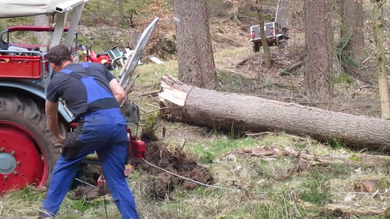 Mein Eicher EM 300 mit Tayfun EGV 35A beim Langholzrücken im Wald!!