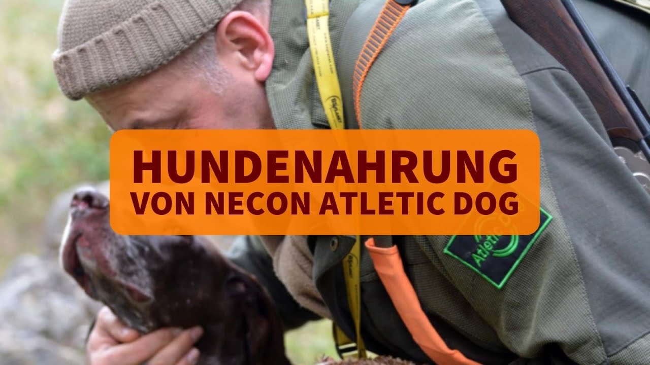 hundenahrung selber kochen rezepte Hundenahrung von Necon Atletic Dog