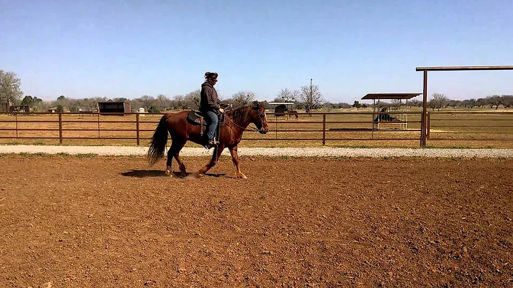 Traci Roy on Super Sonny Bars