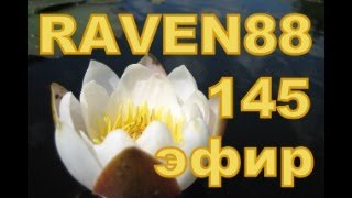 RAVEN 88 ЭФИР 145