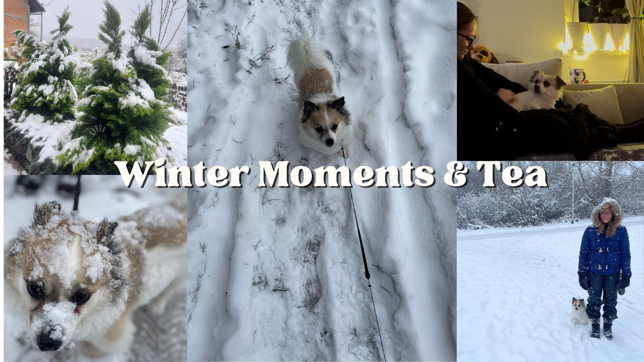 A Cozy Snowy Day in Croatia | Walking, Dog & Tea ❄️☕🐾