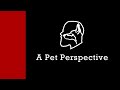 Welcome to a pet perspective