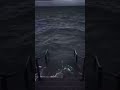 これわかる？ #tiktok #short