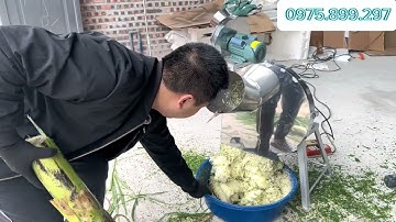 Máy Thái Chuối INOX Cửa Đứng Siêu Mịn -  Cắt Chuối Nguyên Cây - Cỏ Voi. Động Cơ 1,5kW Dây Đồng 100%