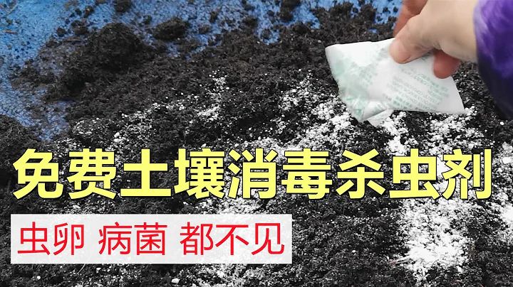 Sterilizing soil at no cost 不花钱就可以给土壤消毒杀菌除虫, 可能你身边就有 - 天天要闻