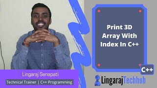 Print 3D Array With Index In C++ #95