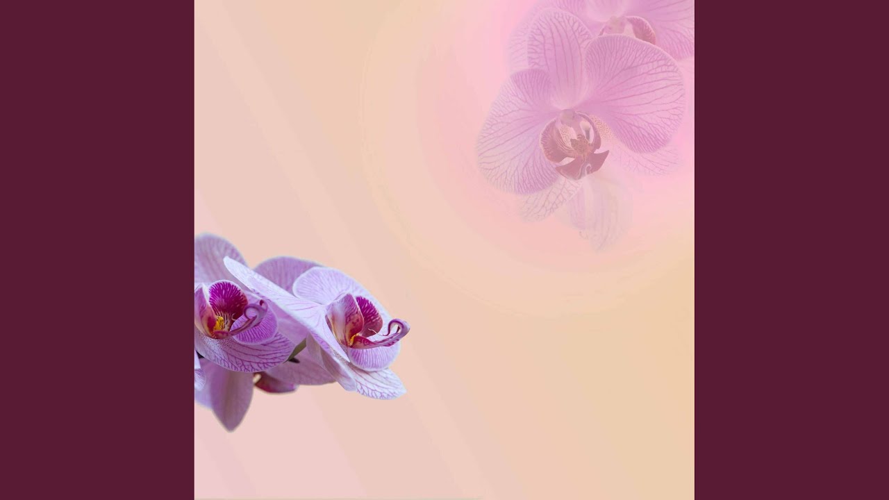 Background for Simmer Down Morning