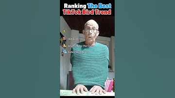 Ranking TikTok’s Wildest Bird Trend👀