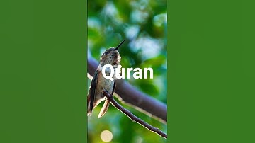 سوره فاطر با ترجمه