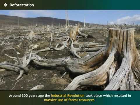 Video: Ano ang pagkakaiba sa pagitan ng deforestation at desertification?