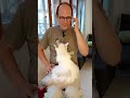 Erklärvideo: Was ist den die Aura? Kann man das auch essen?