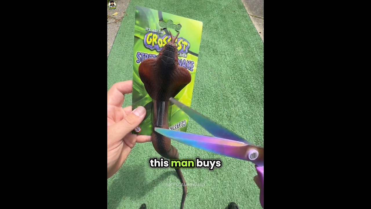 This man buys a rubber snake for his son!😱