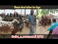 Sohrab Goth Cow Mandi 2019 | Qurbani bull purchasing Vlog