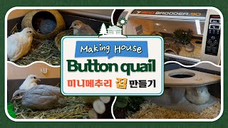 Button quail cage setup!💒 Making luxury house for button quail breeding!🐥