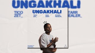 TICOZET, Sha Sha & Starr Healer - Ungakhali (Official Audio)
