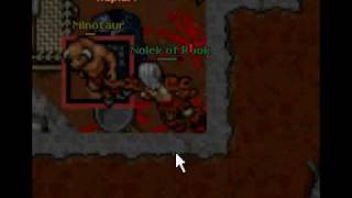 nolek of rook , Minotaur dead