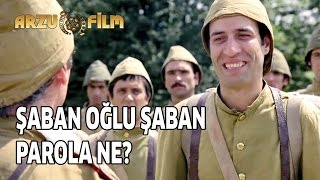 Şaban Oğlu Şaban | Parola Ne?