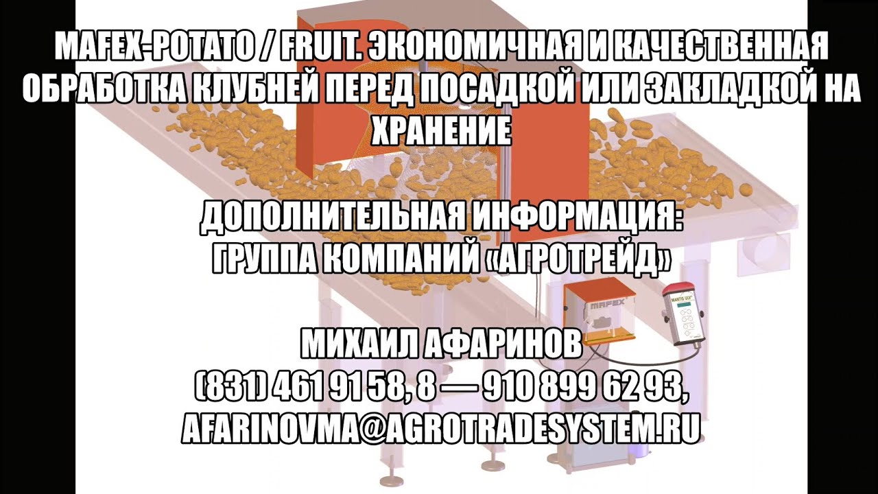 Обсуждаем перспективные сорта картофеля