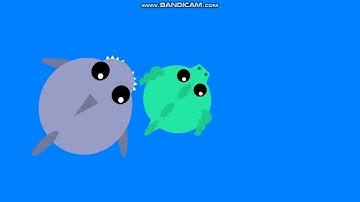 History of mope.io part 3 to 15. the ocean appeared...