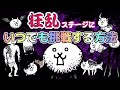 【にゃんこ大戦争】いつでも狂乱ステージに挑戦する方法☆【お役立ち情報】【The battle cats】