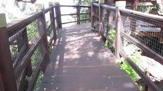 uMthoma Aerial Boardwalk overlooks Lake St Lucia KwaZulu-Natal - 2