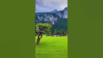 #بسم_الله_الرحمن_الرحيم #قرآن #آيات #اكسبلور #دويتو #لايك #ترند