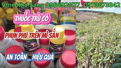 Thuốc trừ cỏ phun phủ được cho cây mì (sắn)./Vtnn Khá Sang.