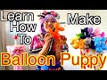 Learn How To Make Your Own Balloon Puppy Dog! Easy! Kids!!