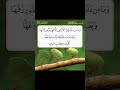 ونبقى على اصلنا في زمن تاهت فيه الأصول ونبقى على اصلنا في زمن تاهت فيه الأصول