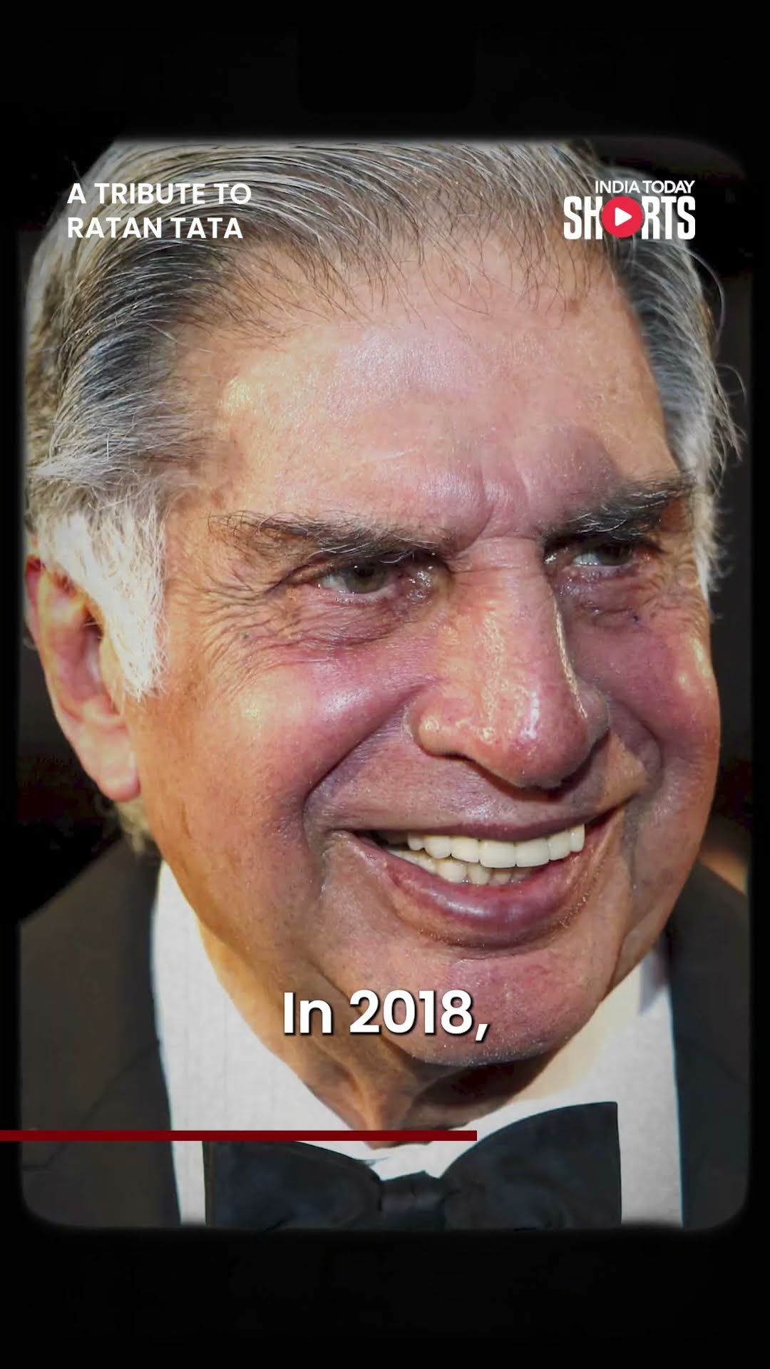 Tamil Nadu Bakery Crafts 7-Foot Ice Cake Tribute To Ratan Tata
