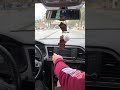 نشيد حزب الشعب نشيد حزب الشعب
