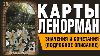 видео: Карты Ленорман. Карта Лилии (30). Значения и сочетания карт. картинка: Карты Ленорман. Карта Лилии (30). Значения и сочетания карт.
