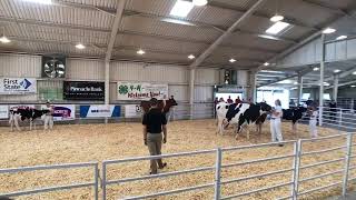 2020 Dairy Show